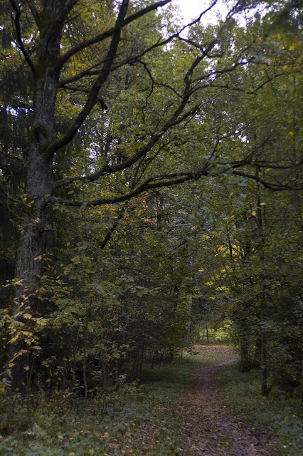 Autumn in Minsk park