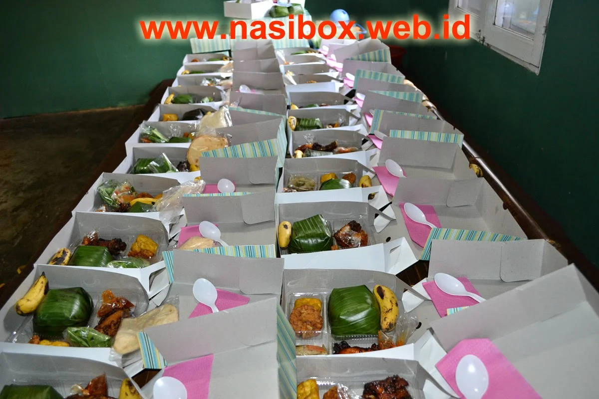 Nasi box aqiqah