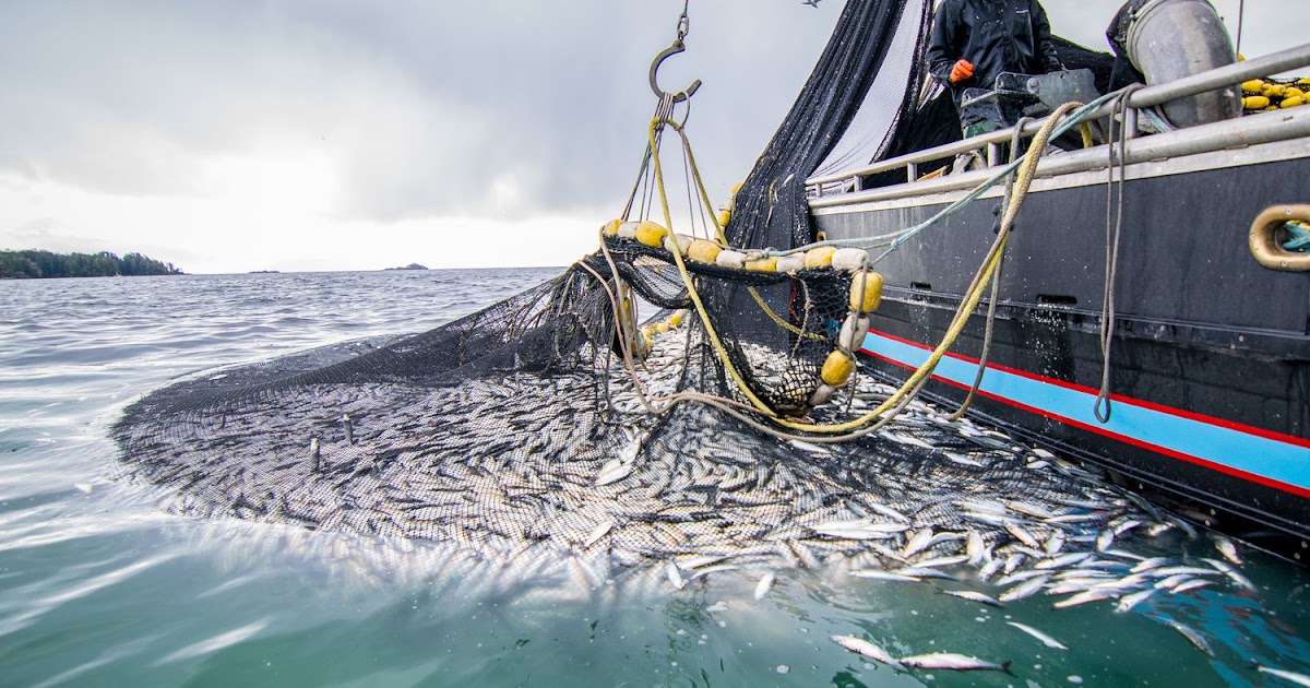 Trawl Ropes and Nets Are Used for Fishing