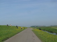 IMG_7857