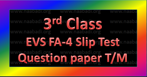 pay ap e slip www EVS 3rd 4 Test Slip T/M FA ~ Question Paper Class