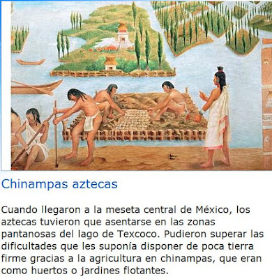 chinampas_aztecas