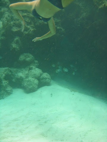 BVI (309)