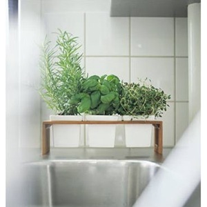 Herbs Pot Holder