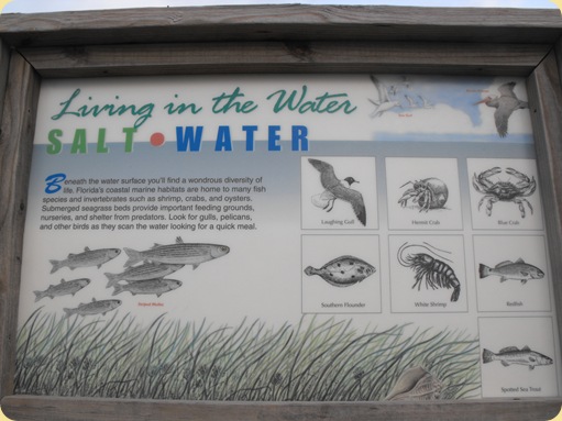 Day at Padre Island 223