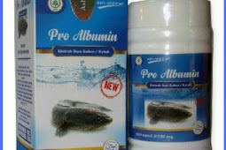 Jual Kapsul Pro Albumin Di Bulungan | WA : 0857-4839-4402