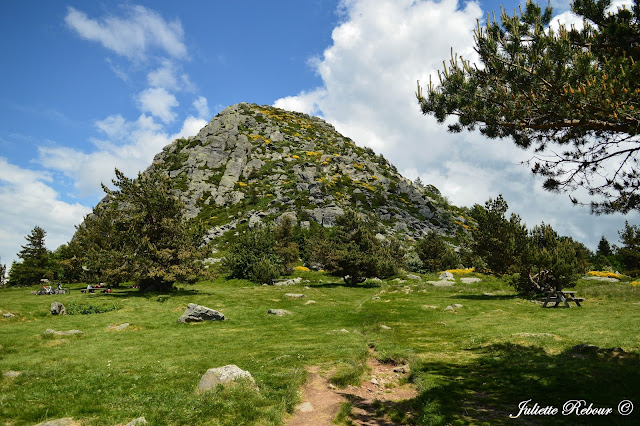 Mont Gerbier de Jonc en Ardèche