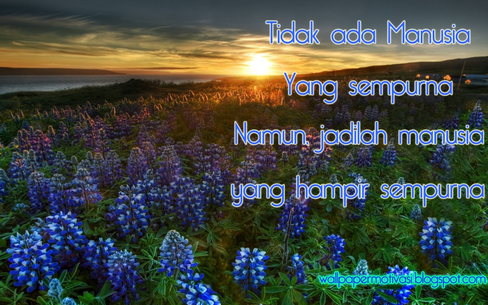 Kata Mutiara Jadilah Manusia Yang Hampir Sempurna Wallpaper