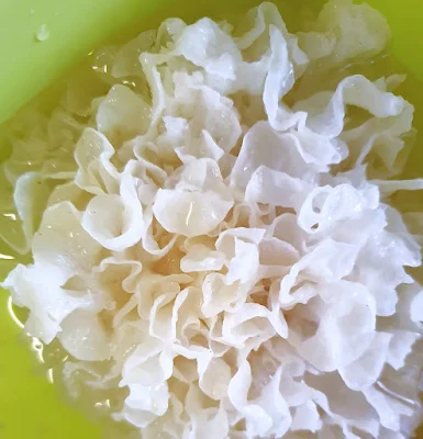 Tremella Mushroom Use in Ancient Chinese Medicine