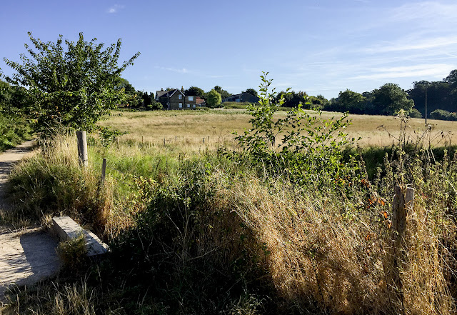 Tong Farm. Walk around the Hawkwood Estate 09, 30 August 2016.