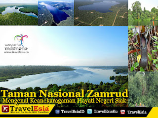 Taman Nasional Zamrud