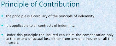 principle of contribution , banking insurance world ,amartya raj