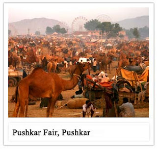 pushkar fair tour india