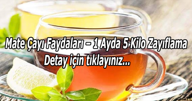 Mate Yaprağı Nedir? Mate Yaprağı Çayı Zayıflatıyormu?