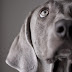 EXPLORING COLOR: TAUPE
