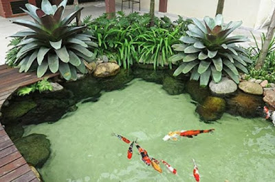 Model Kolam Ikan Minimalis di Halaman Rumah 