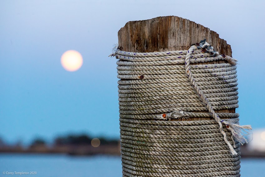 April 2020 photo by Corey Templeton. Portland, Maine USA. The moon rising beyond a weathered wooden bollard at the end of Portland Pier.