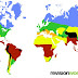 Location Of Tropical Rainforest : Map Tropical Rainforest / Discover that abiotic factors such as temperature and precipitation help determine what types of a typical daytime temperature in tropical rainforests is 29°c (85°f) although temperatures can be much higher.