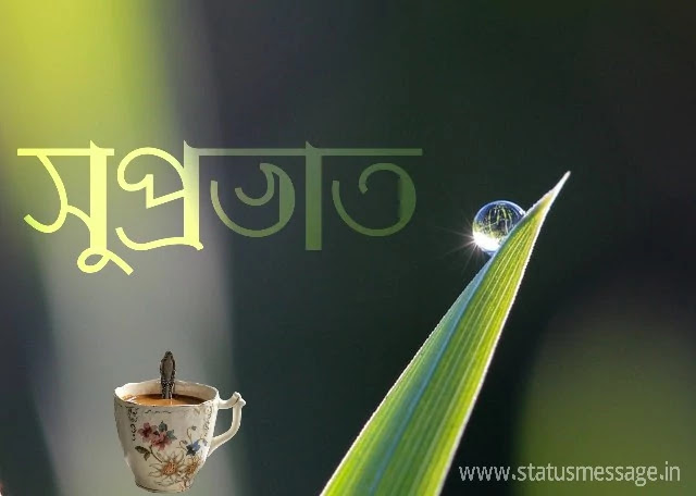 Good morning wishes image bengali sms subho sokal good-morning-wishes-image-bengali-sms-subho-sokal-quotes Shuvo Sokal Bangla SMS Kobita | Morning messages, Good morning" Bengali Good Morning Images With Bengali Love Quotes For Whatsapp" Bangla good morning sms shuvo sokal images kobita" Bengali Good Morning Images For Whatsapp Status,Bengali Good Morning Images Wishes , Wallpapers , Quotes, Bangla good morning sms shayari shuvo sokal kobita picture quotes,Bengali good morning bangla wishes images pictures photos, bangla subho sokal photo download,Bengali Good Morning Image Free Download, subho sokal hd image