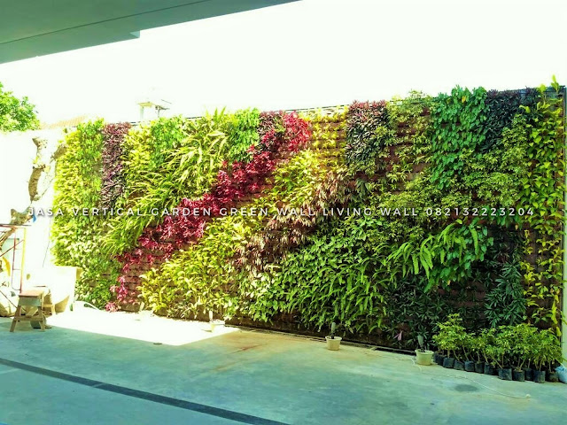 JASA PEMBUATAN VERTICAL GARDEN DENPASAR BALI, JASA VERTICAL GARDEN DENPASAR BALI, JASA TUKANG TAMAN VERTICAL DENPASAR BALI, JASA PEMBUATAN DINDING HIDUP DENPASAR BALI, JASA PEMBUATAN DINDING HIJAU DENPASAR BALI, roof garden murah, roof garden design, roof garden minimalis, roof garden sederhana, roof garden detail, roof garden medan, roof garden semarang, drainasecell roof garden, versicel roof garden, roof garden indonesia, roof garden DENPASAR BALI, roof garden system, roof garden, roof garden adalah, drainasecell, versicell, alat roof garden, cara membuat roof garden, peralatan roof garden, roof top, top roof garden, taman dak atas, cara membuat taman dak, taman atap roof garden, taman roof garden, roof garden apartment, tukang taman vertikal, vertikal garden murah, vertikal garden sederhana, taman vertikal dari botol bekas, taman vertikal murah, taman vertikal rumah minimalis, taman vertikal adalah, taman vertikal dalam rumah, taman vertikal, taman vertikal minimalis, taman vertikal anggrek, taman vertikal botol, taman vertikal di bandung, taman vertikal menggunakan botol bekas, taman vertikal dari batu bata, biaya taman vertikal, buat taman vertikal, contoh taman vertikal, cara taman vertikal, contoh taman vertikal garden, taman vertikal di rumah, taman vertikal di lahan sempit, taman vertikal di dinding, taman vertikal dinding, taman vertikal dengan paralon, taman vertikal depok, fungsi taman vertikal, foto taman vertikal, taman vertikal garden, taman gantung vertikal, gambar taman vertikal minimalis, cara membuat taman vertikal garden, gambar taman vertikal, griya taman vertikal, desain taman vertikal garden, taman vertikal hidroponik, taman vertikal harga, harga taman vertikal murah, taman vertikal indonesia, taman vertikal indoor taman vertikal italia, ide taman vertikal, vertical gardens, vertical gardening, wall garden, green wall, vertical gardening systems, wall planter, indoor vertical planter, planter, wall planters, green walls, greenwall, garden walls, plant wall, wall planters indoor, wall planters for outdoors, vertical blinds, vertical line, vertical farming, vertical integration, vertical angles, vertical radiators, vertical meaning, define vertical,