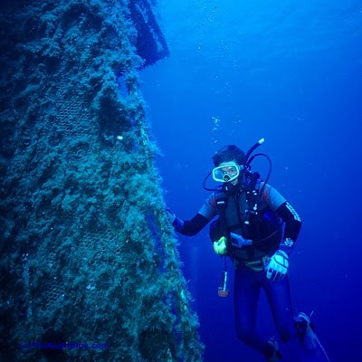 Wreck diver