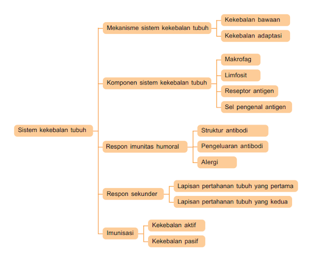 Peta Konsep Sistem Kekebalan Tubuh