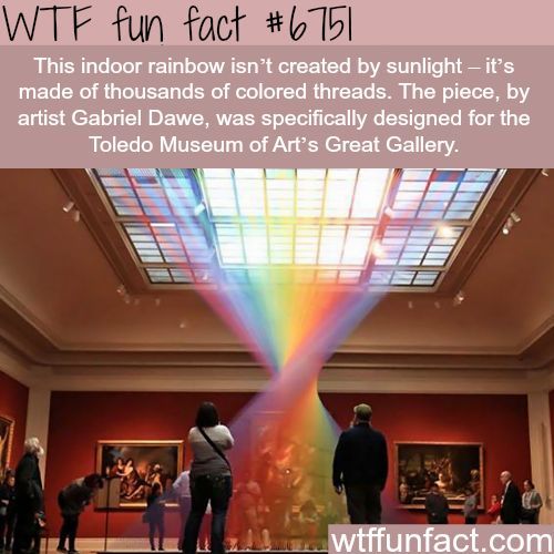 Interesting WTF Fun Facts That You Probably Didn't Know