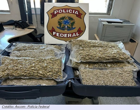 PF prende mulher por tráfico internacional de drogas