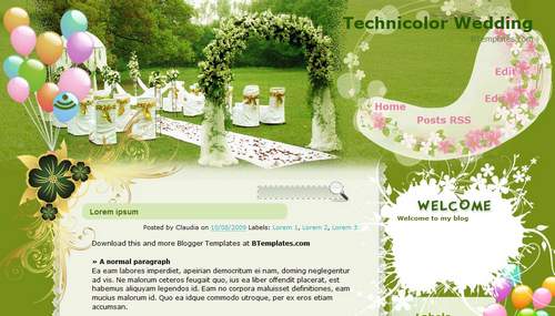 Technicolor Wedding Blogger Template