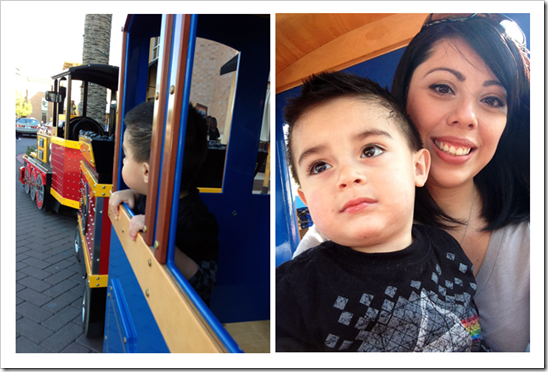 TrainRides