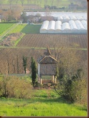 IMG_5077