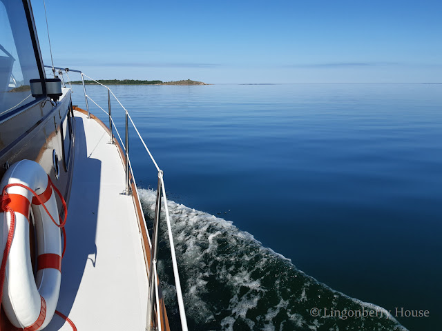 lingonberryhouse, paattireissu, boat trip, family cruiser, saaristo, archipelago, nature, luonto, Suomi, Finland