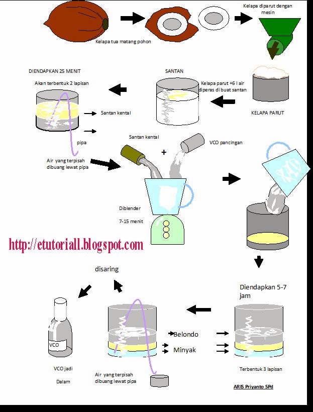 Cara Membuat Minyak Kelapa Cara Basah (Wet Process)