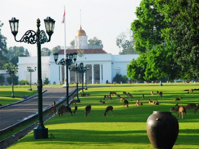 istana bogor