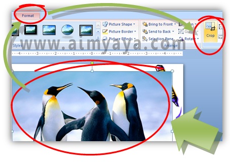Gambar sangat sering dipakai sebagai materi presentasi Cara Crop Gambar di Powerpoint