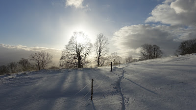 Mountainbike-Spur im Schnee