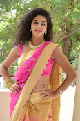 pavani new photos in saree-thumbnail-21