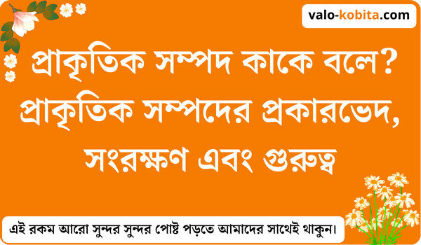 প্রাকৃতিক সম্পদ কাকে বলে? প্রাকৃতিক সম্পদের প্রকারভেদ, সংরক্ষণ এবং গুরুত্ব