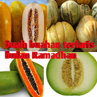 www.dwisangpetani.com