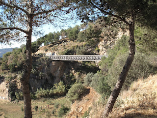 View of pedestrian bridge