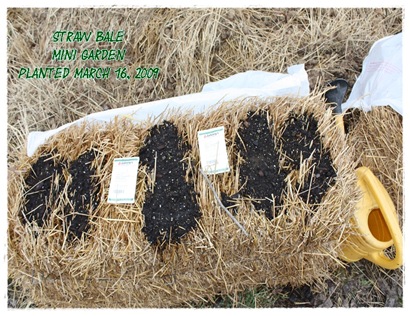 straw_bale_garden1