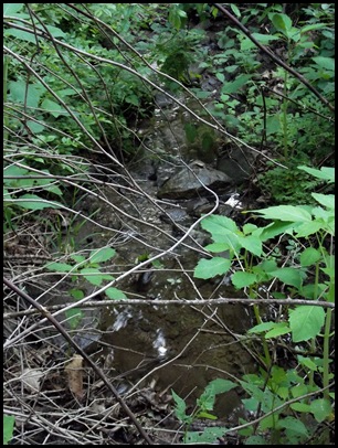Camden Hills Campground 007