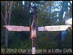 Wizarding World of Harry Potter