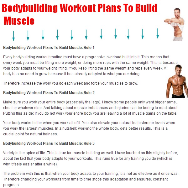 Workout Plans To Build Muscle 