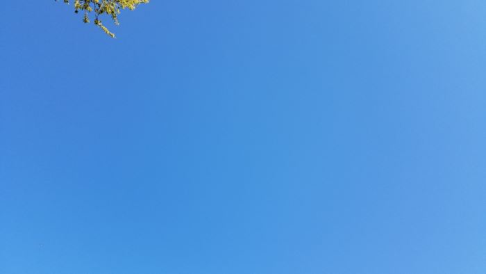 雲一つない青空