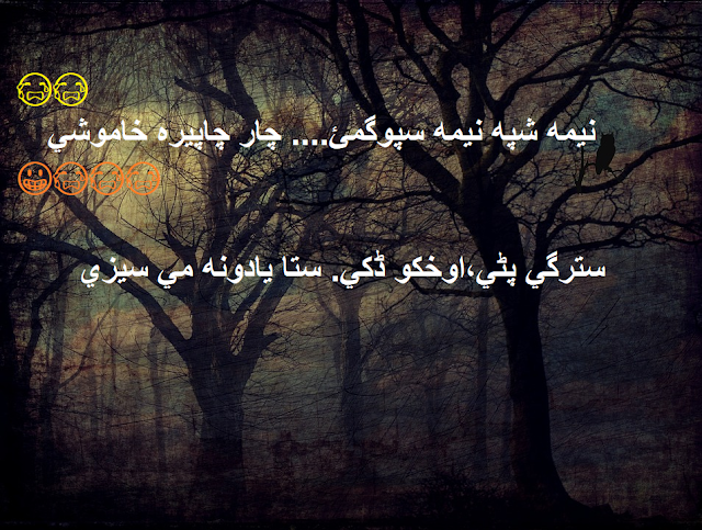 best pashto poetry pashto shairi- amazing pashto poetry