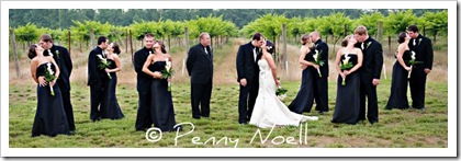Wedding Couples