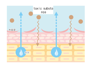 Illustration explaining why dry skin is a bad thing.