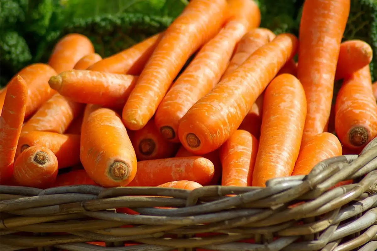 10 Foods Good for Breastfeeding Mothers: Boost Your Milk!