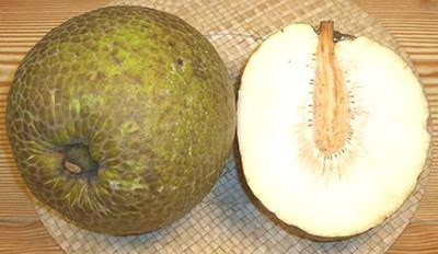 khasiat buah sukun